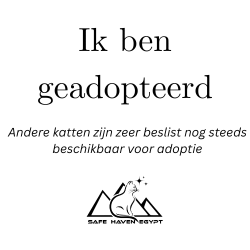 Afbeelding met de tekst 'I am adopted' en logo van SHE. En ook dat er nog andere katten te adopteren zijn